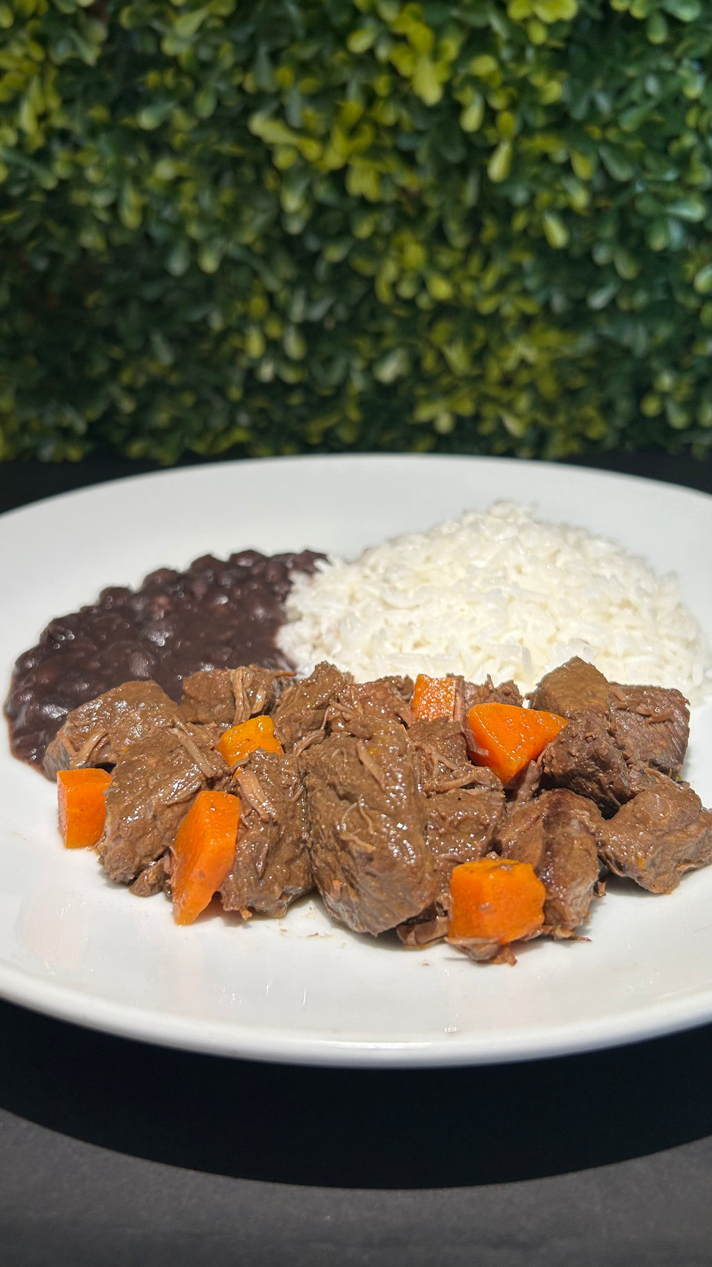 Beef Stew in Beef Gravy