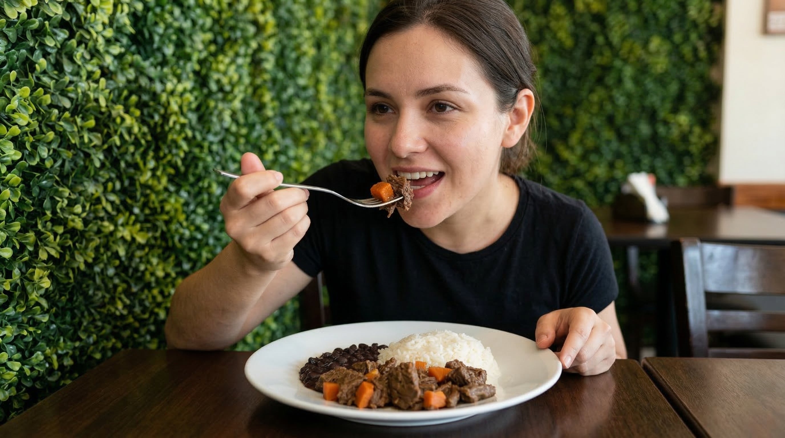 Beef Stew in Beef Gravy