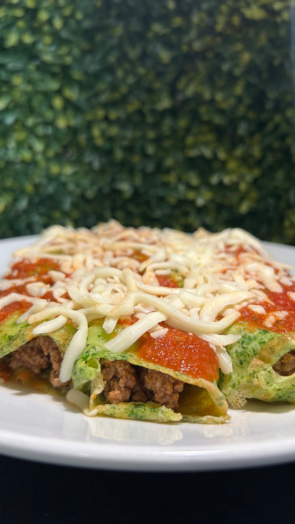 Beef Brazilian Wrap - High protein