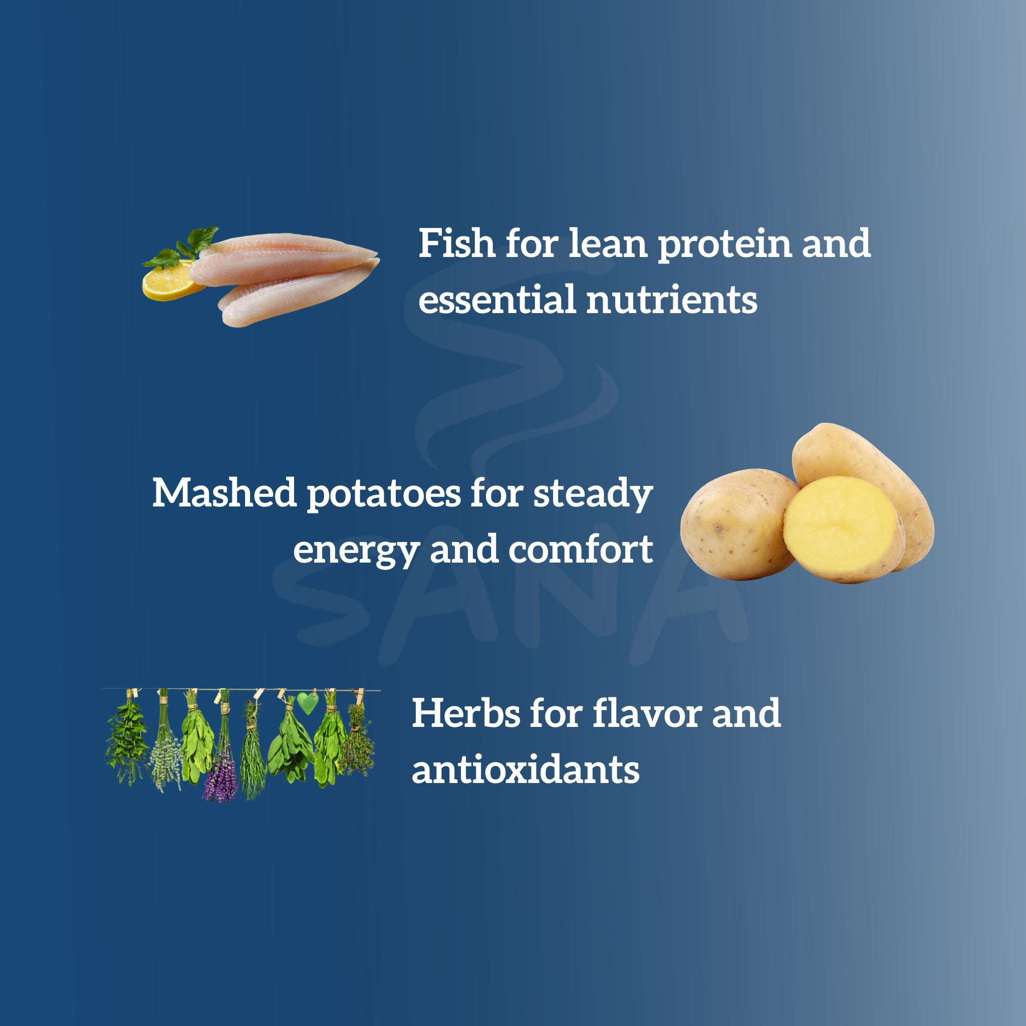 Mediterranean Fish