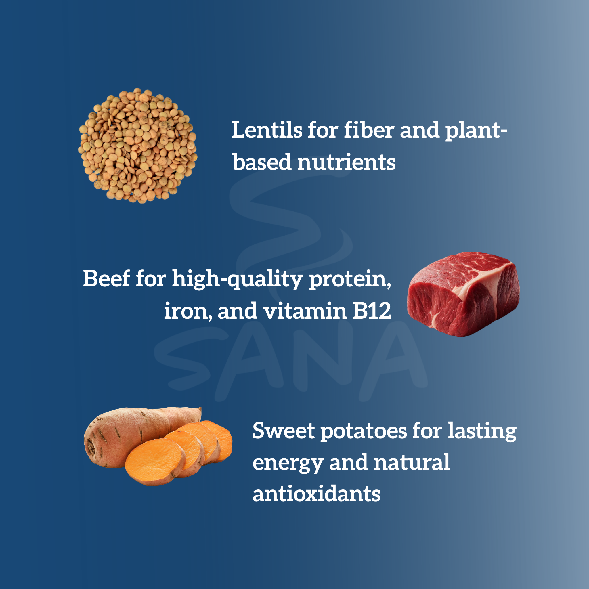 Ground Beef - High Protein