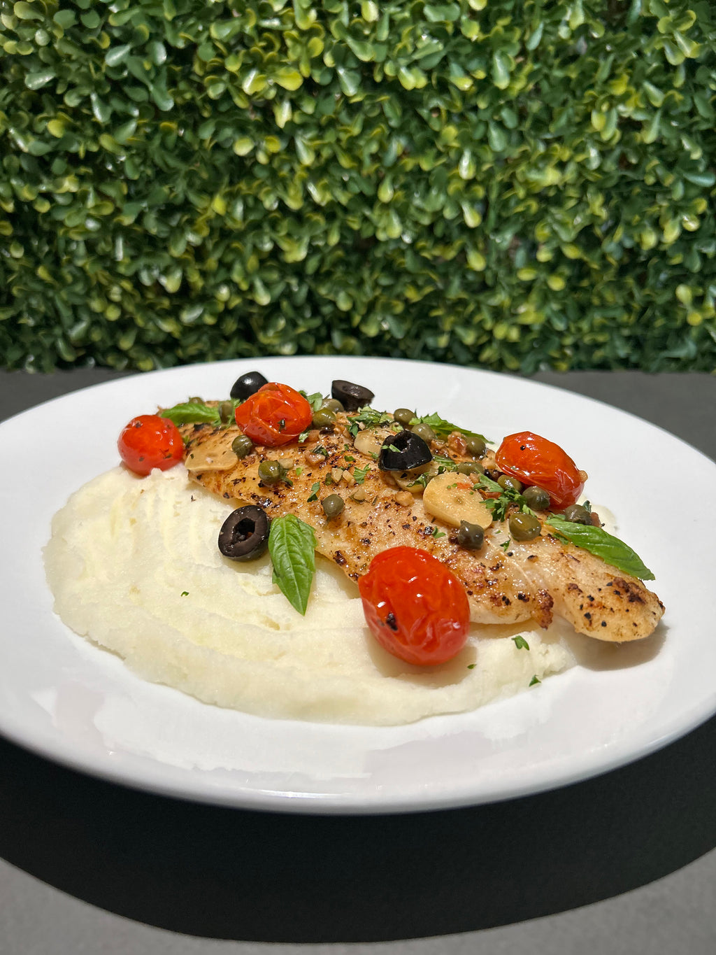 Mediterranean Fish