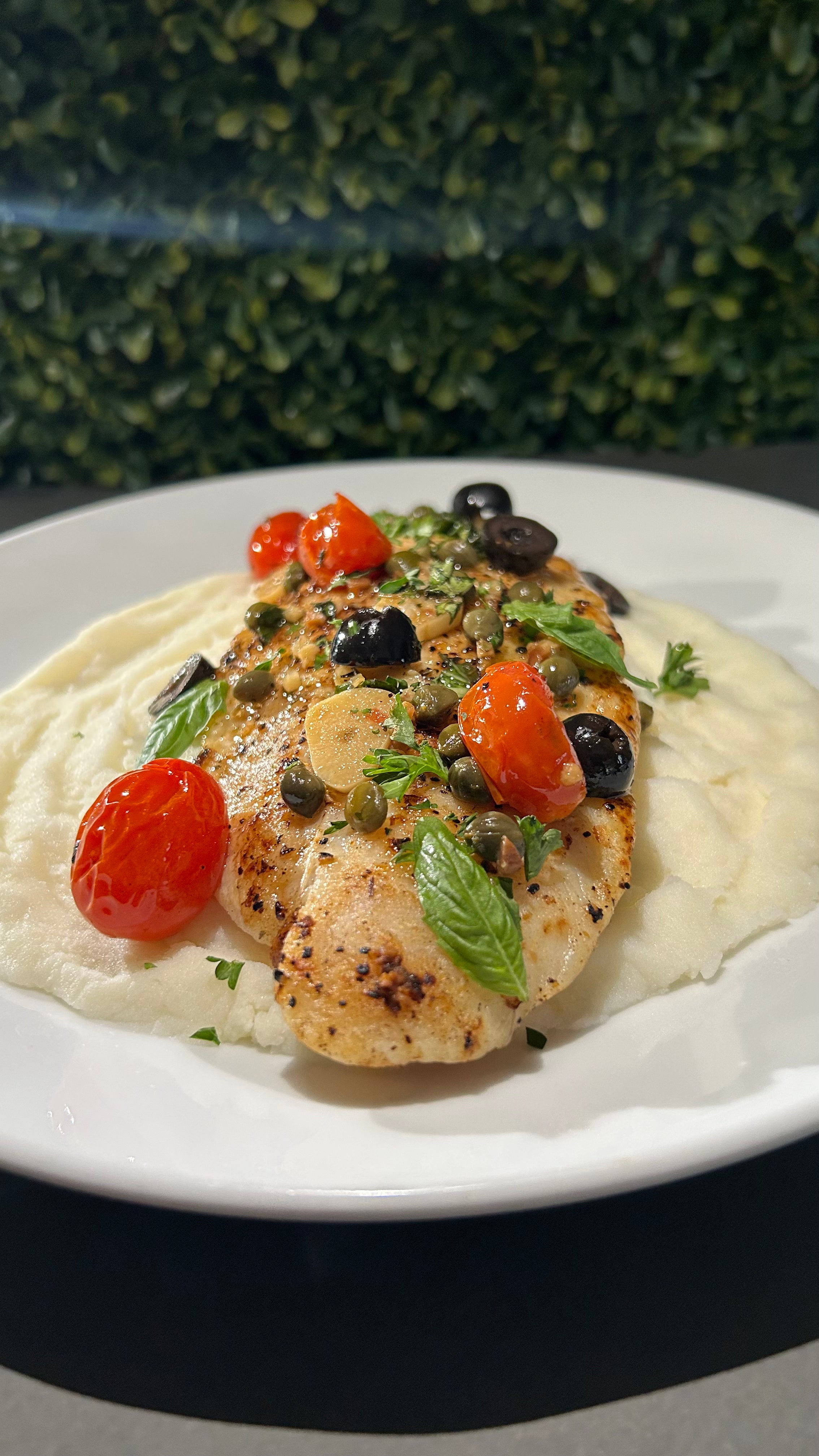 Mediterranean Fish